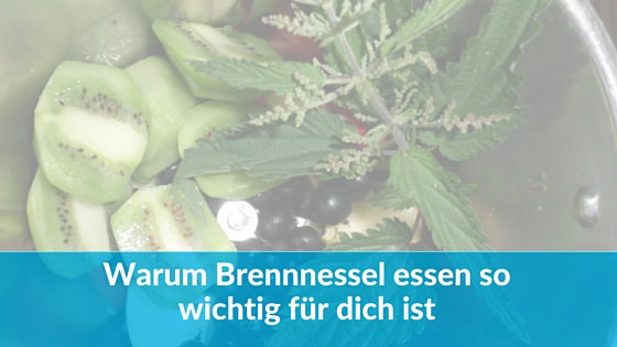 Warum Brennnessel essen für dich so wichtig ist