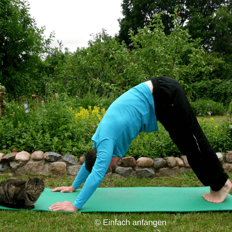 Die fünf Tibeter. Trainiere deinen Körper und deinen Geist!